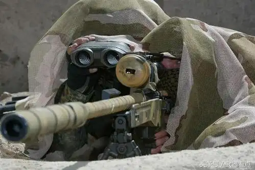 军事丨德国联邦国防军g22狙击步枪,在战斗情况下有两种弹可用-搜狐大