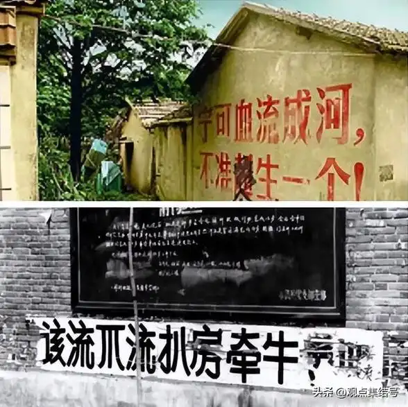 从"超生罚款"到"生育补贴":社会生育观的180度大转弯!