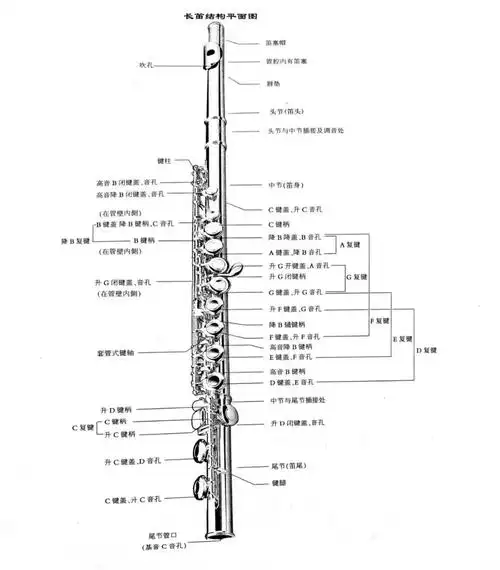 长笛初学者bi看长笛指法表带颤音
