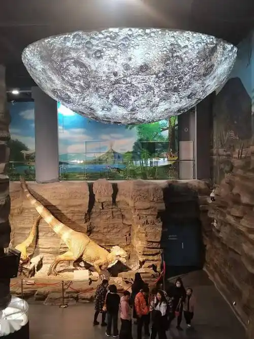 走进辽宁古生物博物馆:穿越时空,探索史前生物的奥秘!_生命_恐龙_化石