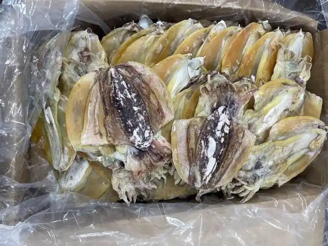 67头特级北海淡干墨鱼