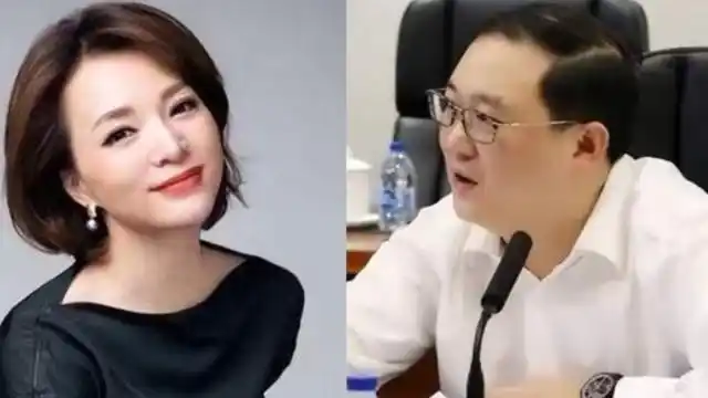 董卿富豪丈夫密春雷被执行超7亿已失联数月妻子恐遭波及