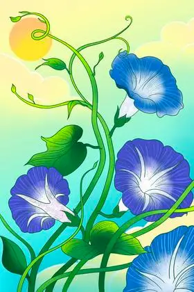 牵牛花喇叭花图片