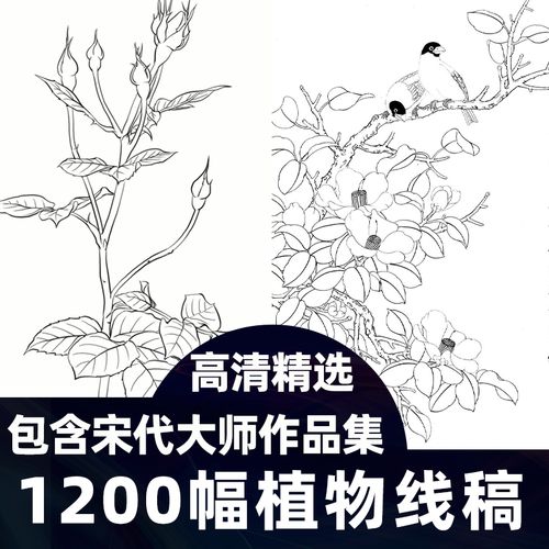 植物 花卉线稿白描高清手绘古风临摹设计素材
