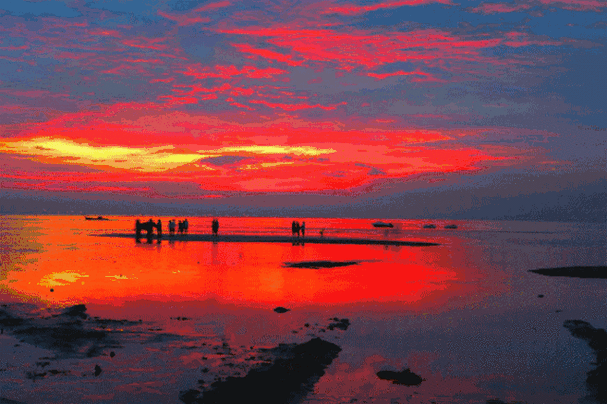 海滩篝火晚会,燃放烟花拾贝壳,玩沙滩排球清晨赶海,赏海上日出,捉螃蟹