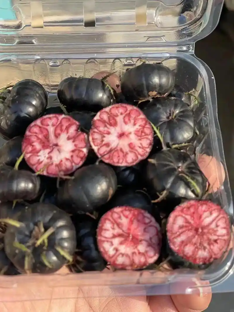 红参果.#奋斗的水果人 #只做高品质 创业有时候就像是古代考 - 抖音