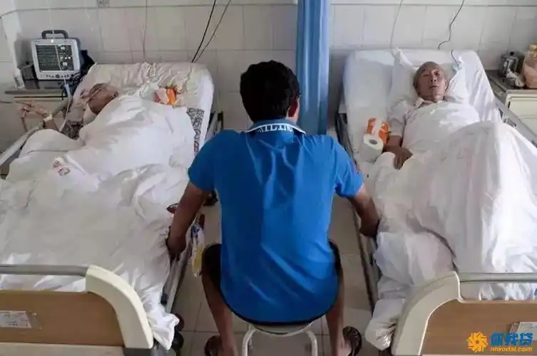 河北省张审军的《独生子》