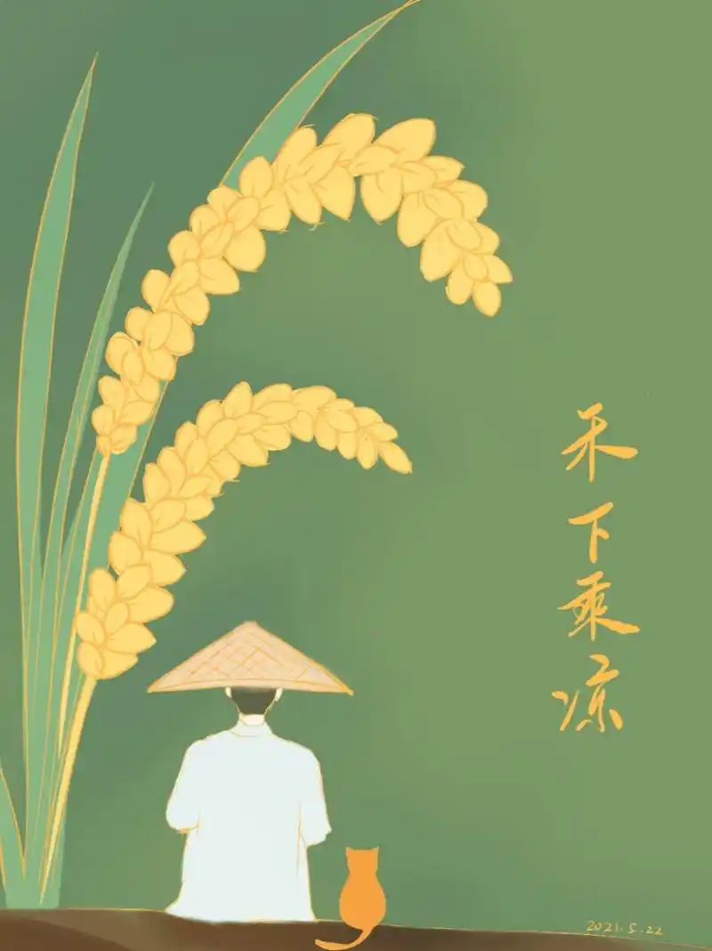 深切缅怀,您的禾下乘凉梦 稻子比高粱还高,籽粒比花生还大.