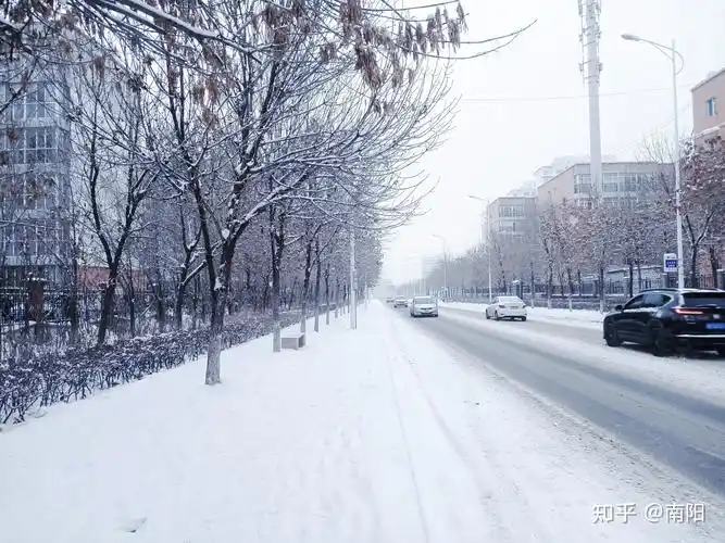 今天你所在的城市下雪了吗