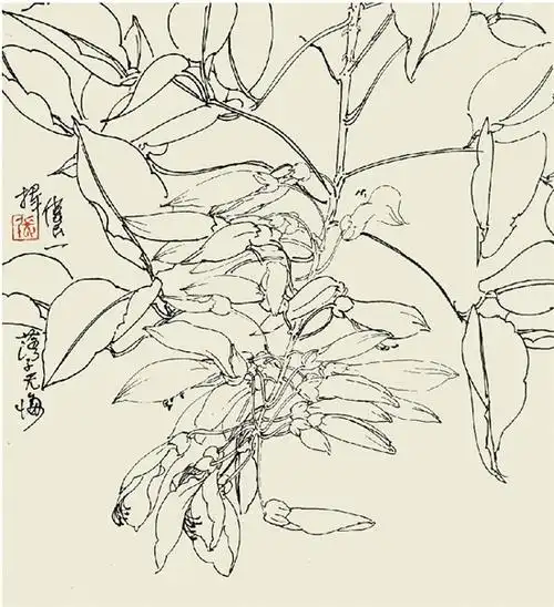 鸡冠刺桐花卉写生,纯真与浪漫的结合在中国绘画艺术中,十分注重对自然