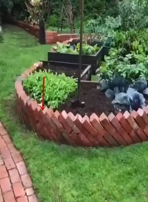 不要再对红砖有偏见了,给家里打造个绿化区,颜色好看又结实_设计_围栏