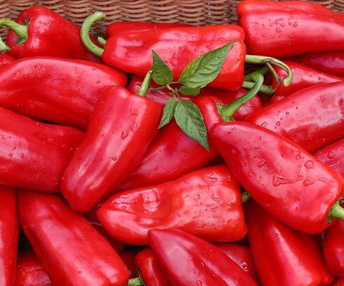 辣椒新鲜大红红辣椒尖椒5斤农家现摘鲜红甜椒辣椒