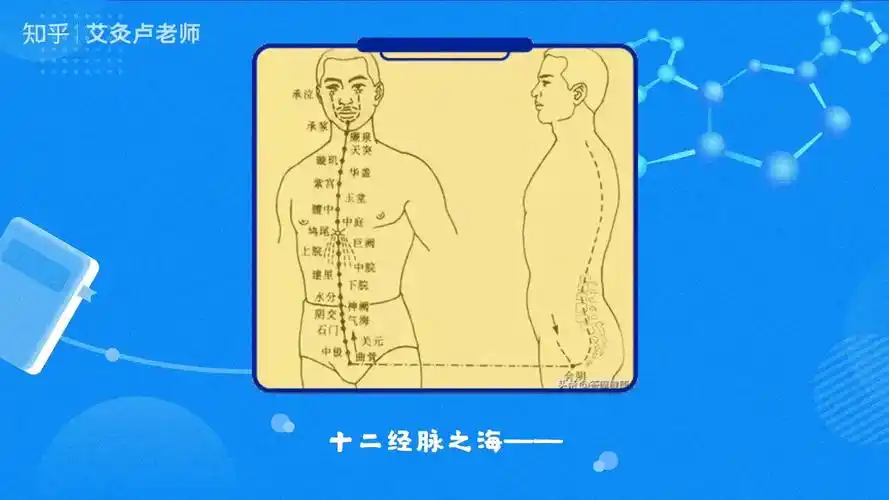 奇经八脉之冲脉