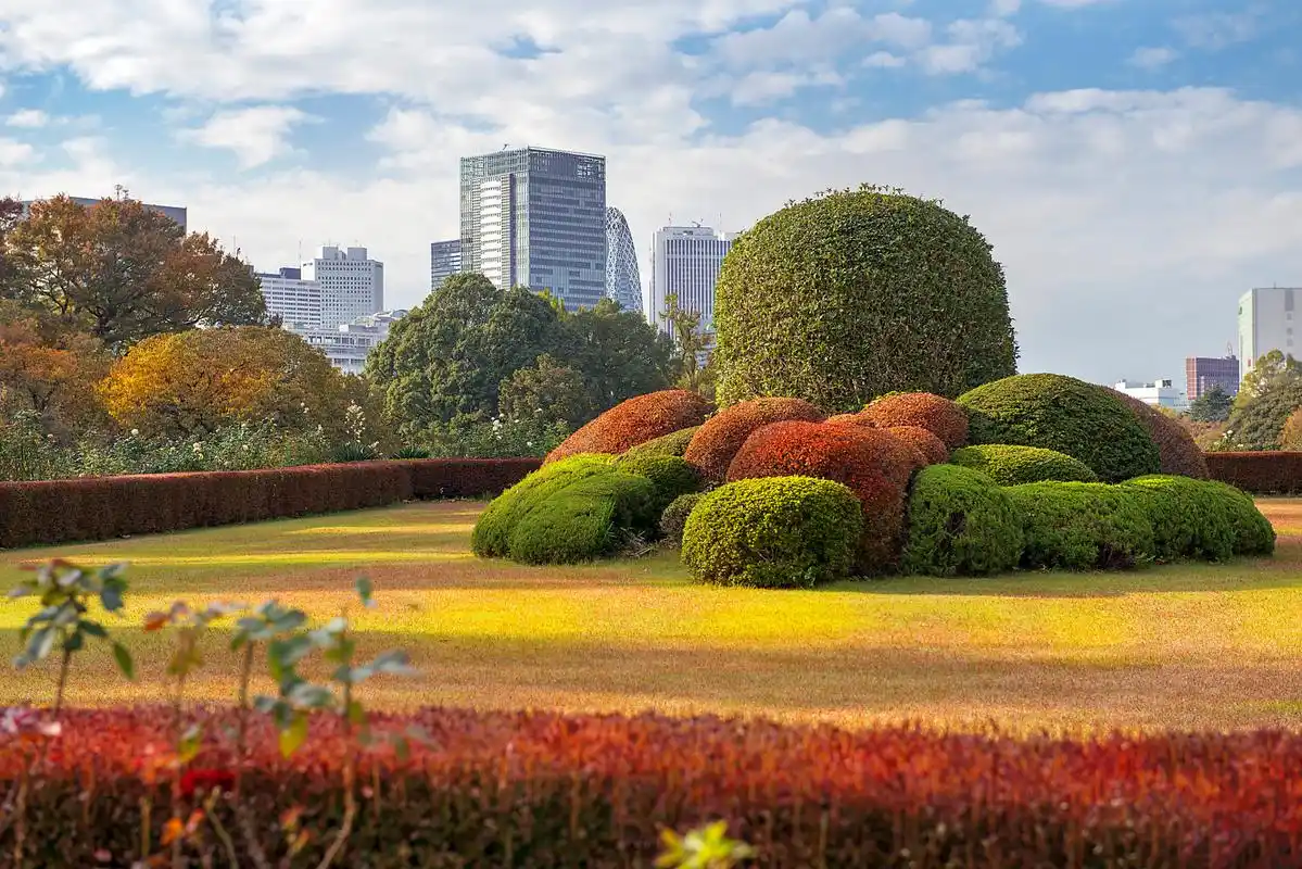 城市绿化不能异化 一段时间以来,我国不断拓展城市生态空间,大力推动