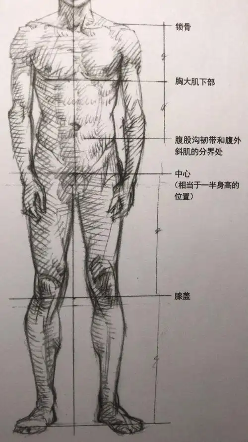 讲谈社famous02school讲师20年经验揭秘人体速写有哪些你想不到的