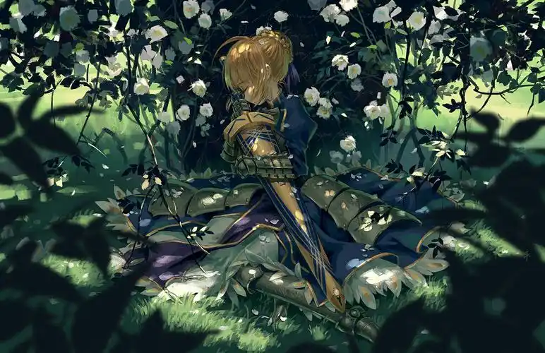 saber - 堆糖,美图壁纸兴趣社区