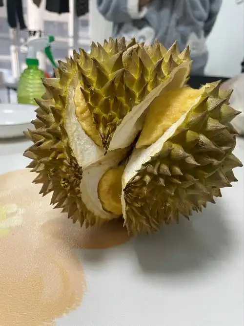 青尼榴莲的出肉率