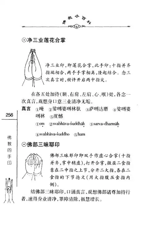 佛教小百科集一辑17佛教的手印中国社会科学出版社2003pic269