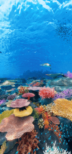 422_900竖版 竖屏gif 动态图 动图