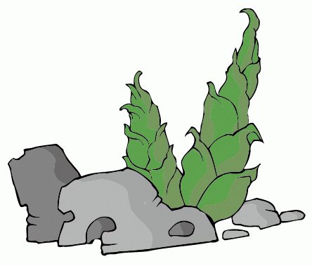 画,不论你是自己画的还是网上找的,要美观,最好是矢量插画形式的感觉