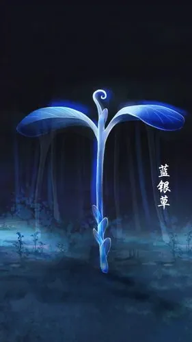 唐三的双生武魂蓝银草武魂和吴天锤武魂