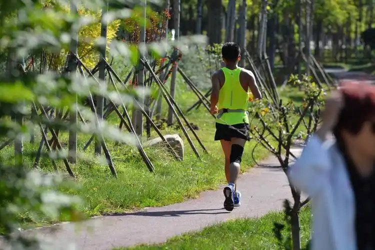 探秘武清永定河故道国家湿地公园:观鸟休闲好地方!