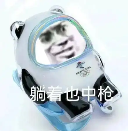 熊猫头冰墩墩表情包 躺着也中枪_中枪_头冰表情