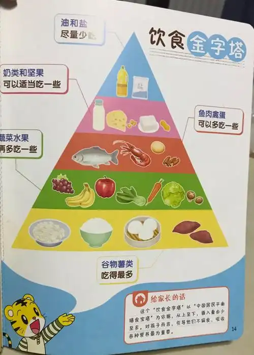 饮食金字塔