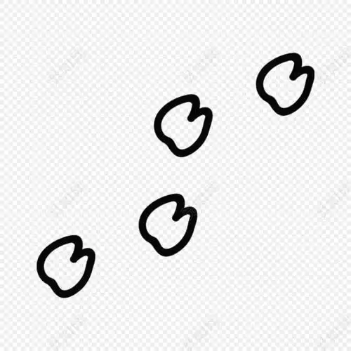 猪的简笔画脚印