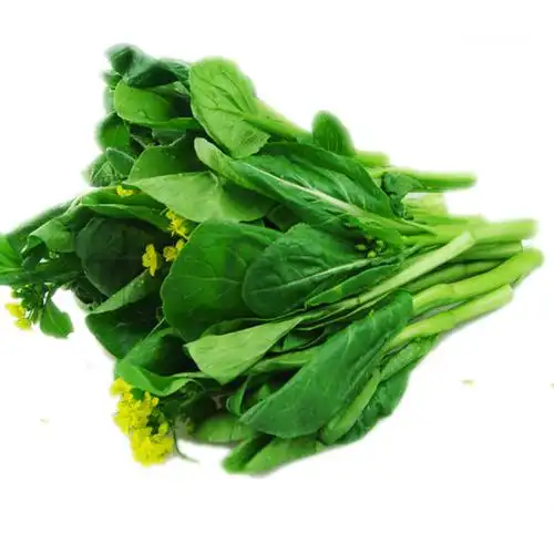 四季菜心种子青柳叶菜苔白菜薹耐热耐湿生长快可收多茬10克