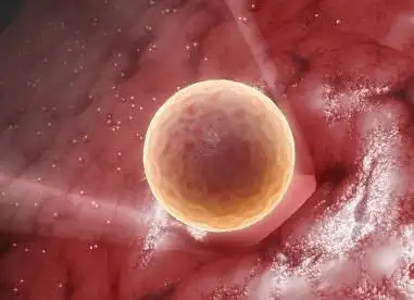 女性排卵相关知识 一个月排几个卵子