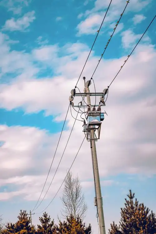 电线杆子上能有什么好鸟