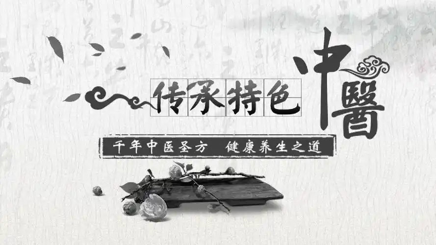 水墨中医养生文化知识介绍经典传统创意ppt模板