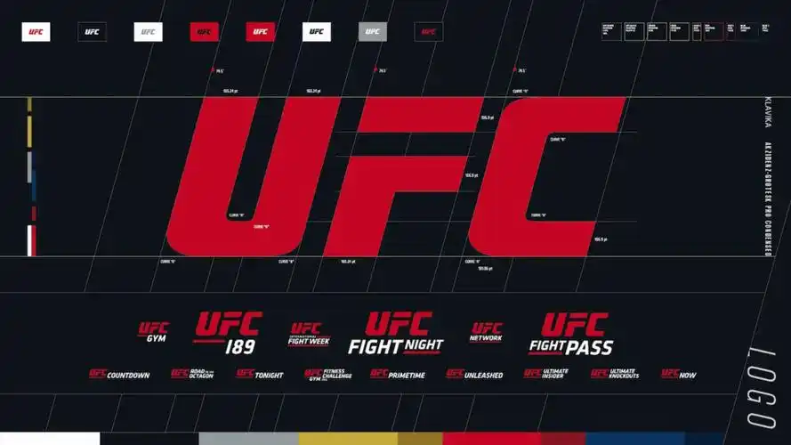 ufc新的标志和识别系统
