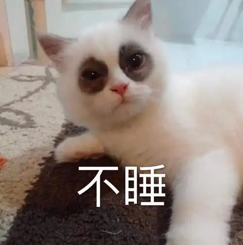 萌宠猫星人不睡我不困搞怪逗gif动图_动态图_表情包下载_soogif