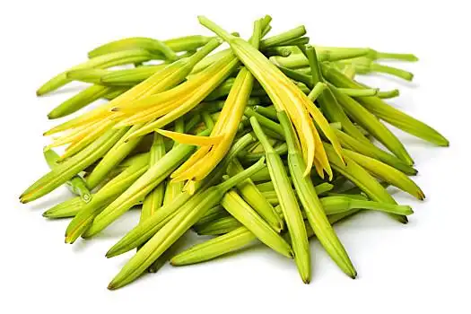 黄花菜,白色背景,背景