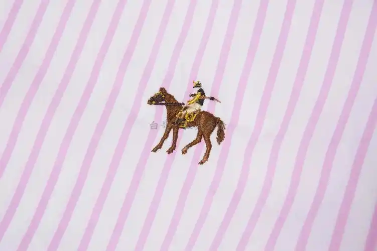 紫标purple label拉夫劳伦棉质条纹衬衫高端男装