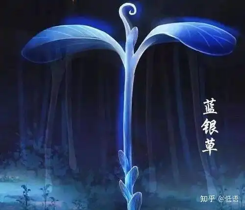 斗罗大陆动漫,蓝银草废武魂是谁定义的? - 知乎