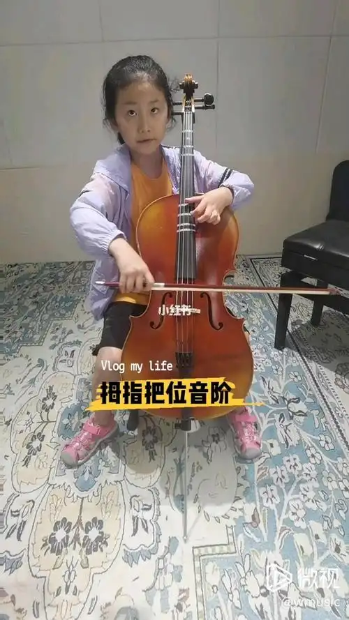 大提琴避坑指南