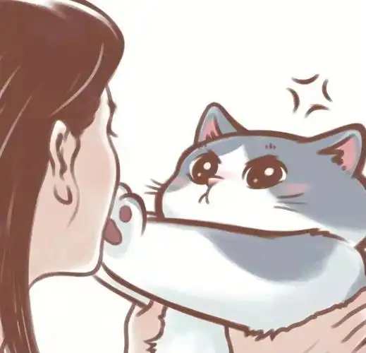 英短蓝白  #猫咪日常  #这是猫咪小公主  #漫画头像