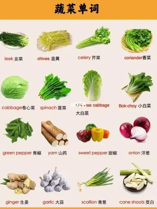 生活中常见蔬菜英语单词