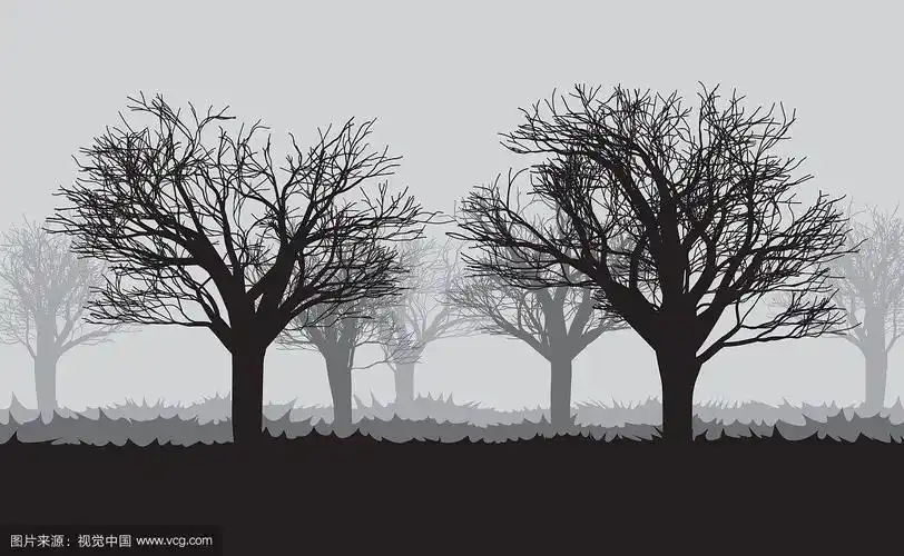 森林中暗雾中的树木剪影