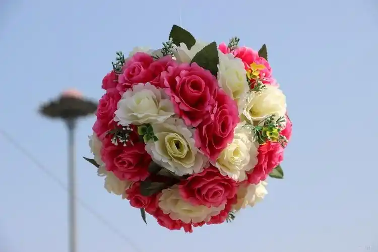 【每日图鉴】花球