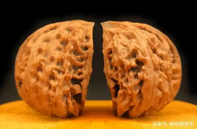 鹰嘴核桃|文玩核桃中的珍稀之物,但您真的了解它吗?