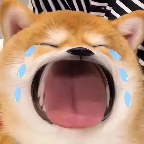 沙雕表情包,可爱到爆表!