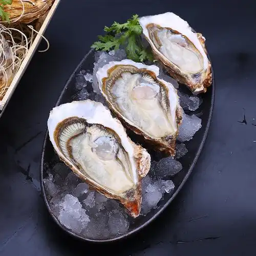 大连生蚝鲜活 xl号 大连特色海产品 鲜活牡蛎 海蛎子盒装 海鲜水产