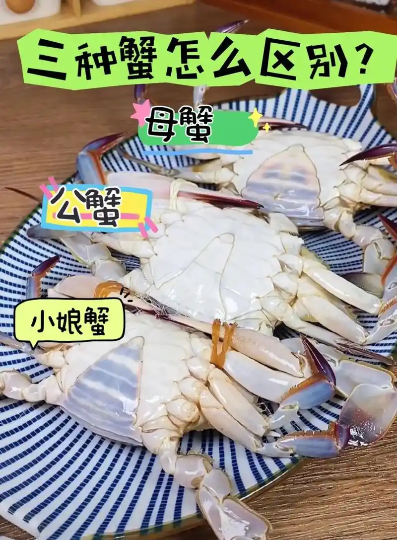 公蟹,母蟹,小娘蟹怎么挑选?几张图教会你.性别区分并不难,就 - 抖音