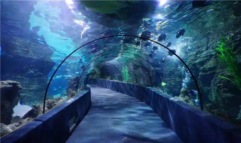 全景海底隧道 海底深处的神奇世界