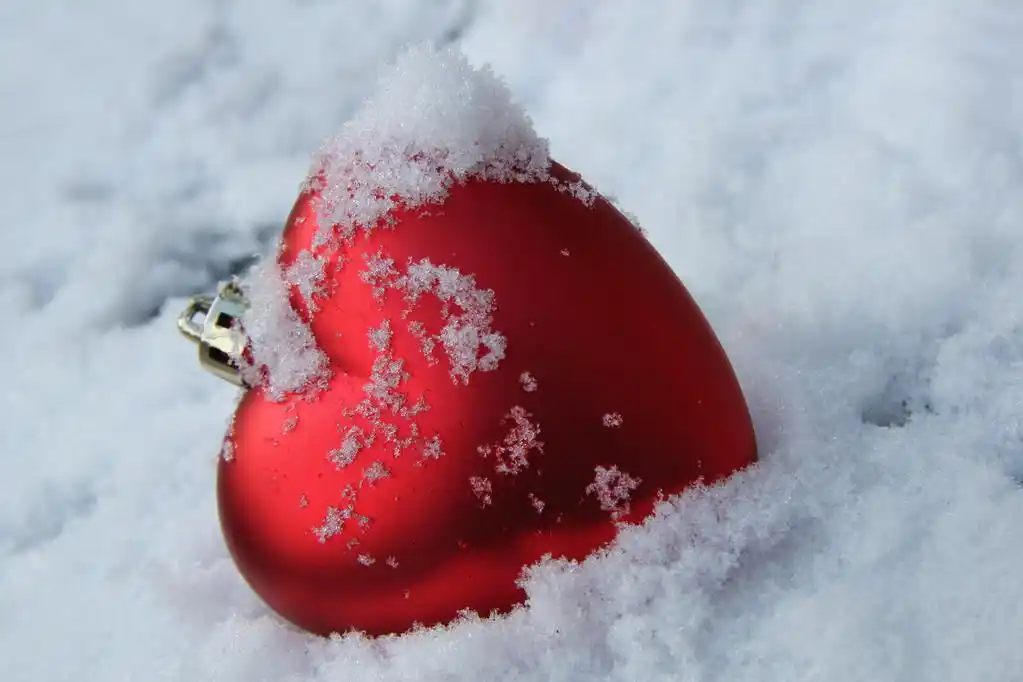 心形装饰在雪中,红色心形新鲜雪中的圣诞节装饰品