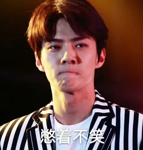 exo表情包 吴世勋 sehun